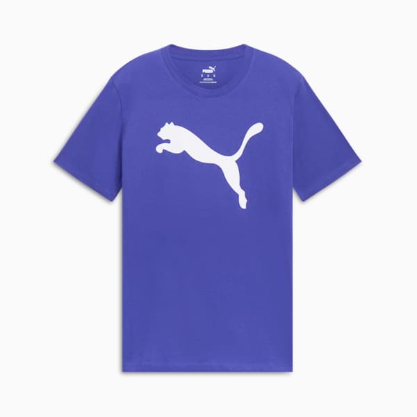 Essentials Big Cat Men's Tee, Lapis Lazuli, extralarge