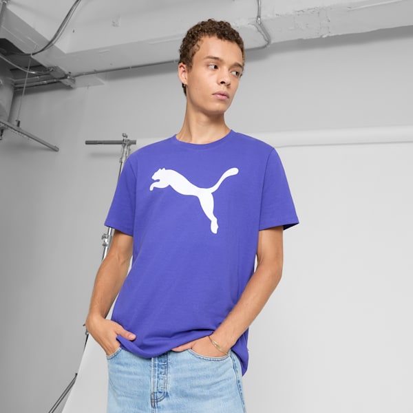 Essentials Big Cat Men's Tee, Lapis Lazuli, extralarge