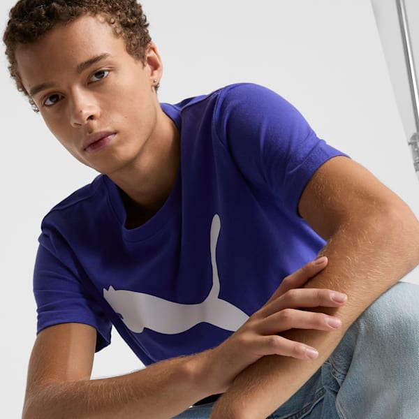 Essentials Big Cat Men's Tee, Lapis Lazuli, extralarge