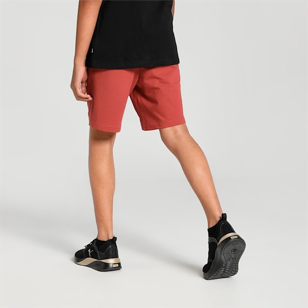 Graphic Boy's Regular Fit Shorts, Chili Oil, extralarge-IND