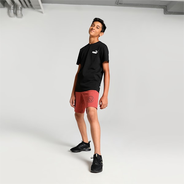 Graphic Boy's Regular Fit Shorts, Chili Oil, extralarge-IND