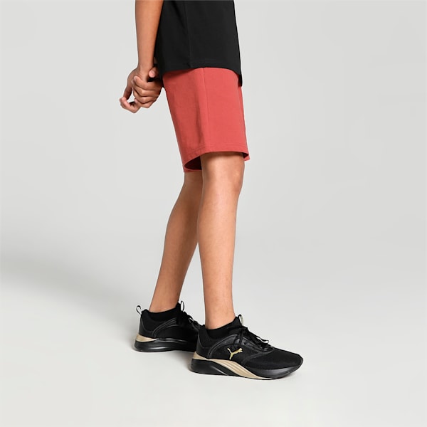 Graphic Boy's Regular Fit Shorts, Chili Oil, extralarge-IND