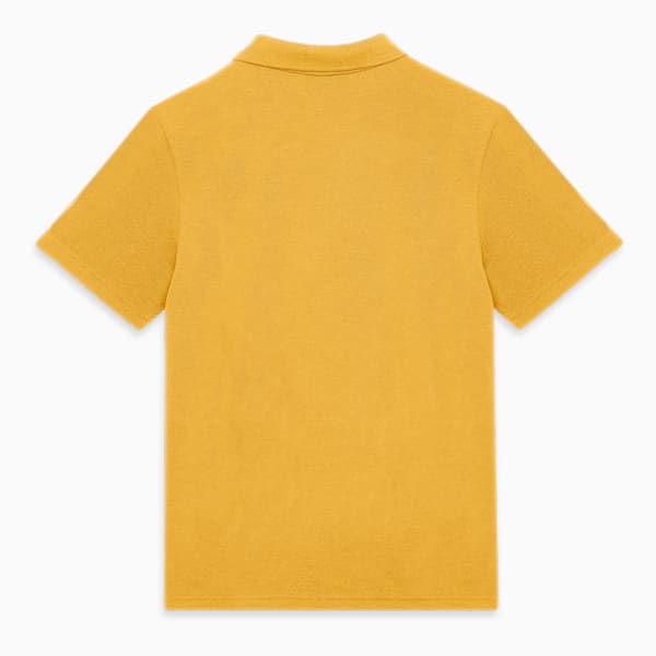 Graphic Boy's Regular Fit Polo T-shirt, Mustard Seed, extralarge-IND