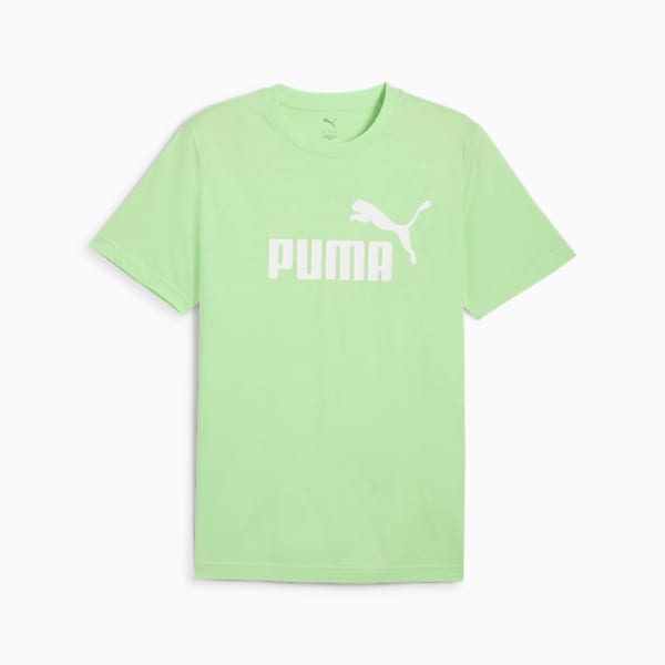 No. 1 Logo Men's Tee, Spring Fern, extralarge-IND