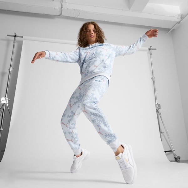 ESS+ Logo Lab Winter Snowflake Hoodie, Silver Mist, extralarge