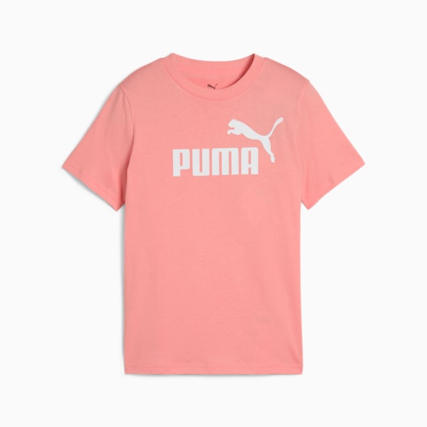Essentials No. 1 Logo Big Kids' Tee, Pink Fruit, extralarge