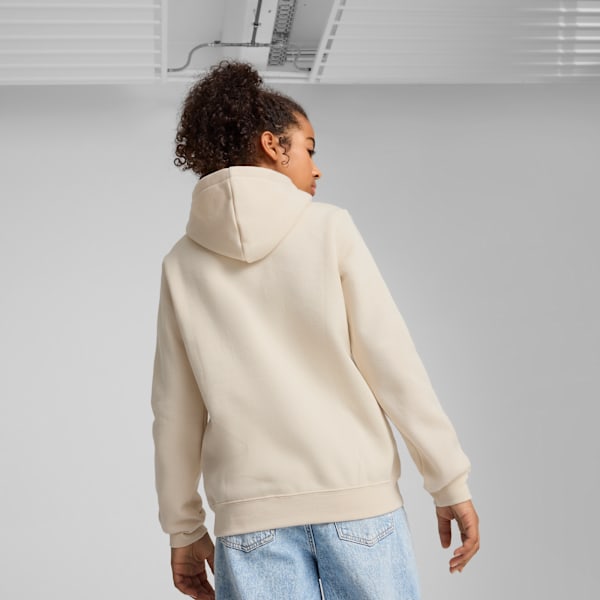 ESS No. 1 Logo Fleece Hoodie Youth, Alpine Snow, extralarge