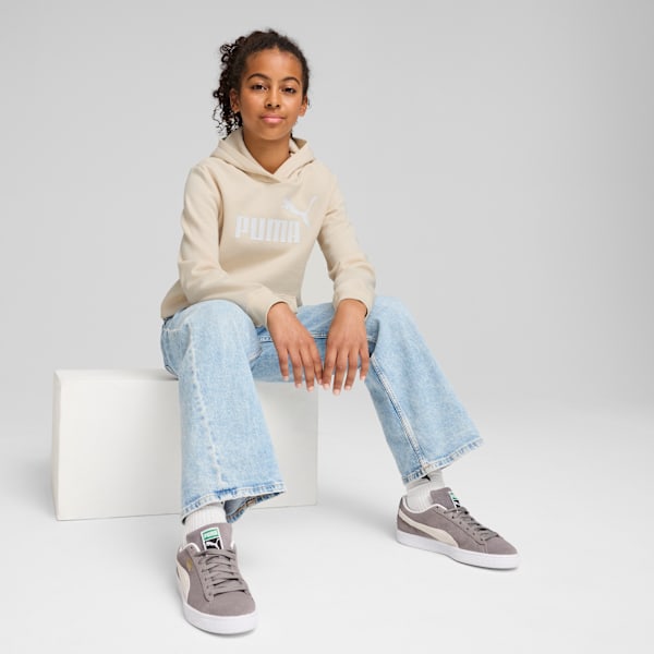 ESS No. 1 Logo Fleece Hoodie Youth, Alpine Snow, extralarge