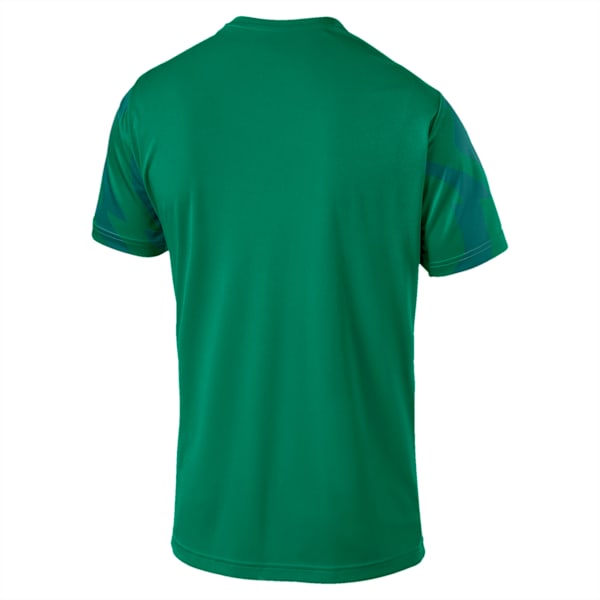 CUP Jersey Core dryCELL Men's Football T-shirt, Pepper Green-Puma White, extralarge-IND