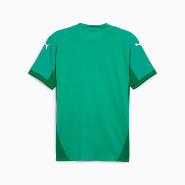 teamFINAL Men's Football Jersey, Sport Green-PUMA White-Power Green, extralarge-IND
