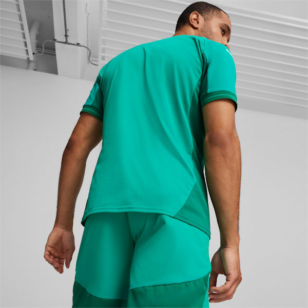 teamFINAL Men's Football Jersey, Sport Green-PUMA White-Power Green, extralarge-IND