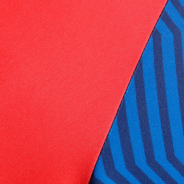 PUMA x DC 2025 Youth Replica Jersey, Strong Blue-For All Time Red, extralarge-IND