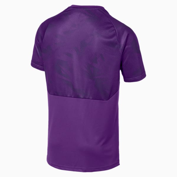 Man City Men's Training Jersey, TillandsiaPurple-TeamLightBl, extralarge-IND