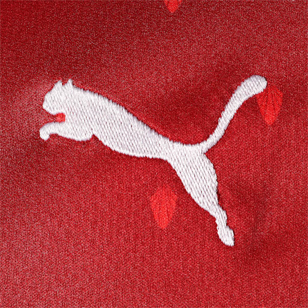 オーストリア OFB SS ホーム レプリカシャツ 半袖 ユニフォーム, Chili Pepper-Puma White-Puma Red, extralarge-JPN
