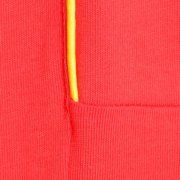 Scuderia Ferrari Leclerc Men's Motorsport Tee, Burnt Red, extralarge-IND