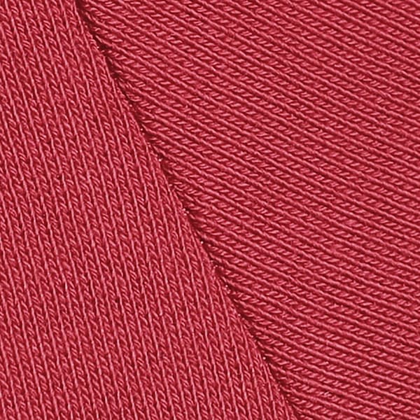 Scuderia Ferrari 2025 Team Men's 1/2 Zip Motorsport Sweatshirt, Dark Cherry, extralarge-IND