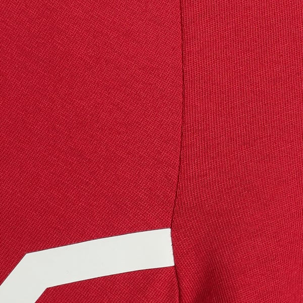 Scuderia Ferrari 2025 Team Youth Motorsport Tee, Dark Cherry, extralarge-IND