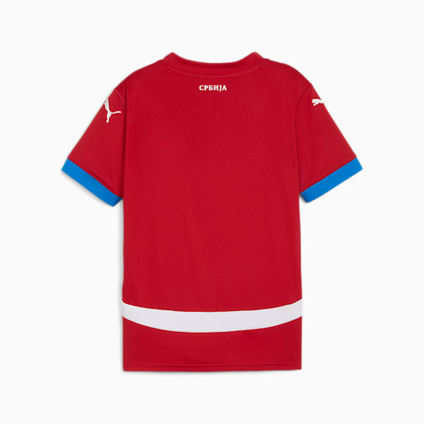 Serbia Football 2024 Youth Home Jersey, Dark Cherry-PUMA Team Royal, extralarge