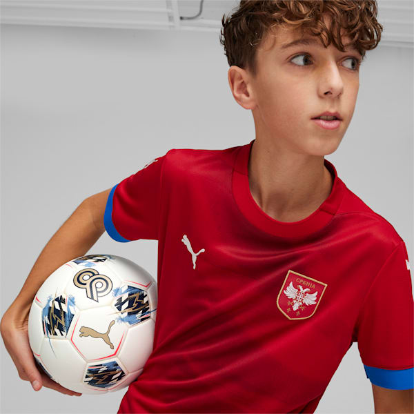 Serbia Football 2024 Youth Home Jersey, Dark Cherry-PUMA Team Royal, extralarge