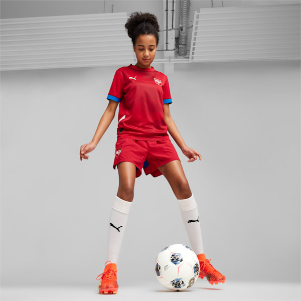 Serbia Football 2024 Youth Home Jersey, Dark Cherry-PUMA Team Royal, extralarge