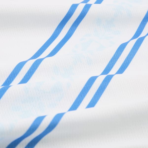 Fenerbahçe SK 24/25 Away Jersey Men, PUMA White-Dusky Blue, extralarge