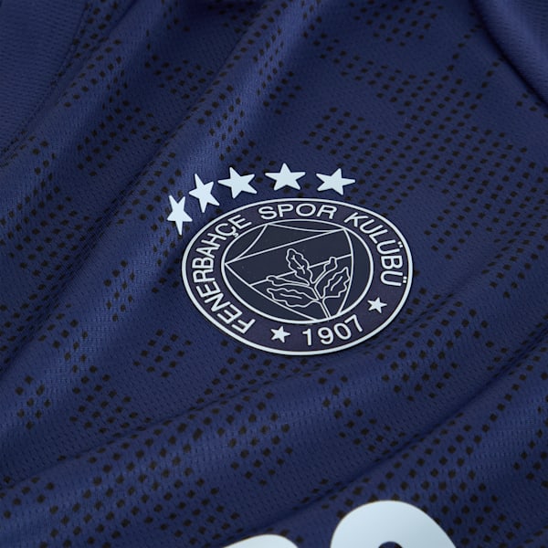 Fenerbahçe SK 24/25 Third Jersey Men, Blue Violet-Icy Blue, extralarge