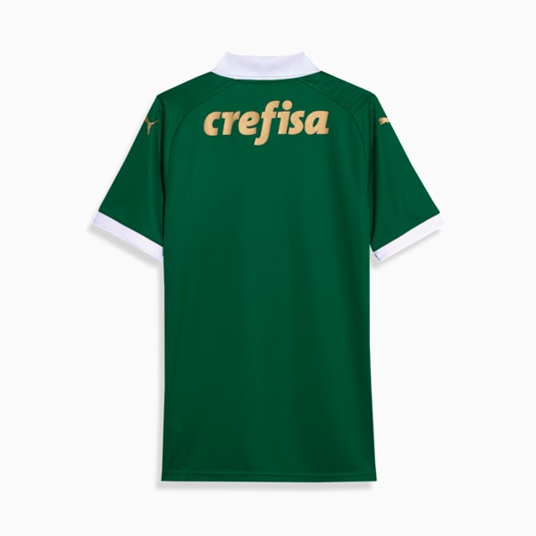 SE Palmeiras Fans '24 Home Men's Jersey, Power Green, extralarge