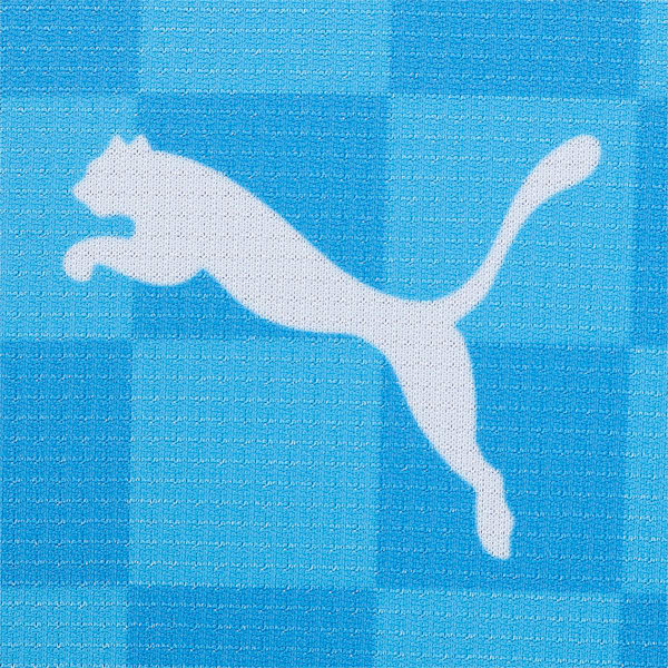 PUMA公式】メンズ 川崎フロンターレ 2023 ACL リミテッド