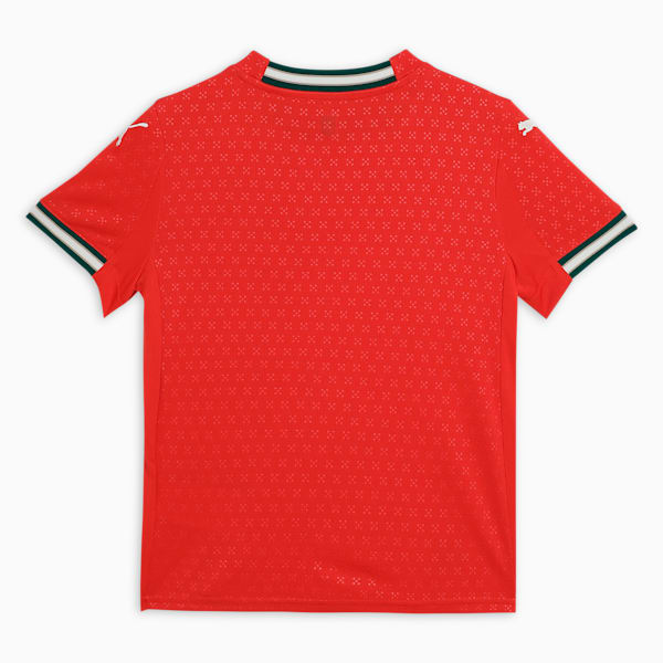 Portugal 2025 Youth Football Home Jersey, Sport Red-Sugared Almond, extralarge-IND