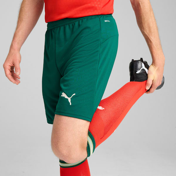 Portugal 2025 Men's Football Shorts, Blessing Green-Sugared Almond, extralarge-IND