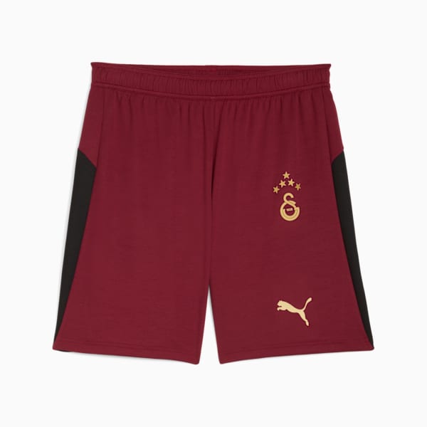 Galatasaray SK 25/26 Shorts Men, Team Regal Red-Puma Team Gold, extralarge-GBR