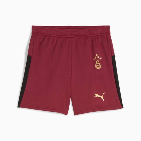 Galatasaray SK 25/26 Shorts Youth, Team Regal Red-Puma Team Gold, extralarge-GBR