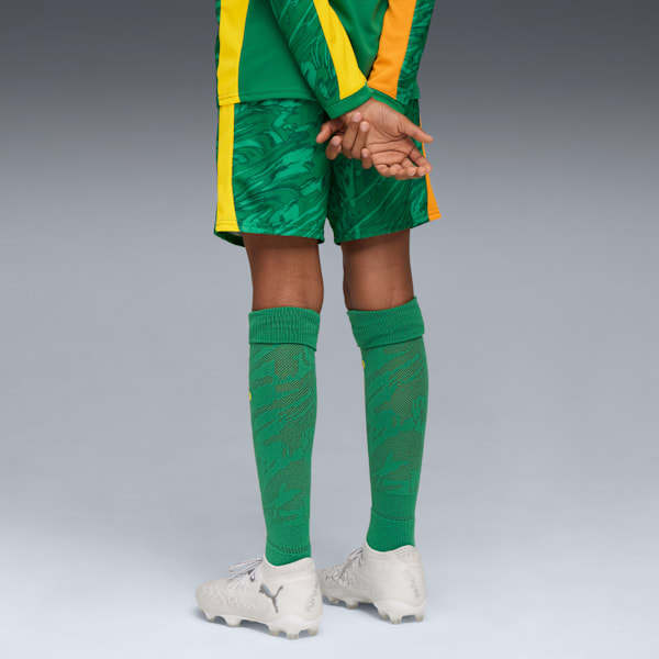 Borussia Dortmund 25/26 Goalkeeper Shorts Youth, Archive Green-Intense Orange, extralarge