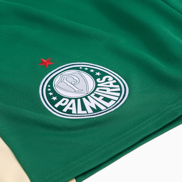 PUMA x KIDSUPER SE Palmeiras Replica Men's Soccer Shorts, Vine-Alpine Snow, extralarge