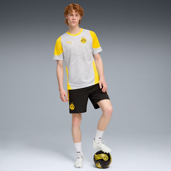 Borussia Dortmund Training Jersey Men, Silver Mist-Faster Yellow, extralarge
