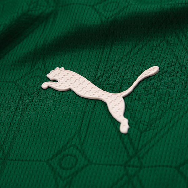 Palmeiras Jogador Home Jsy25 Men, Power Green, extralarge