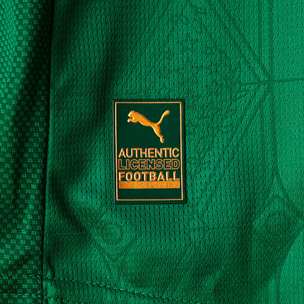 Palmeiras Jogador Home Jsy25 Men, Power Green, extralarge