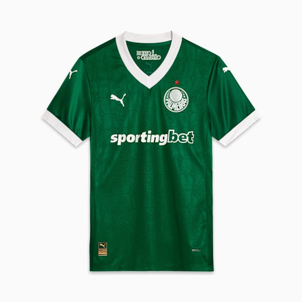 Palmeiras Jogador Home Jsy25 Men, Power Green, extralarge