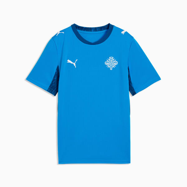 Iceland Home Big Kids' Soccer Jersey, Electro Royal-PUMA White, extralarge