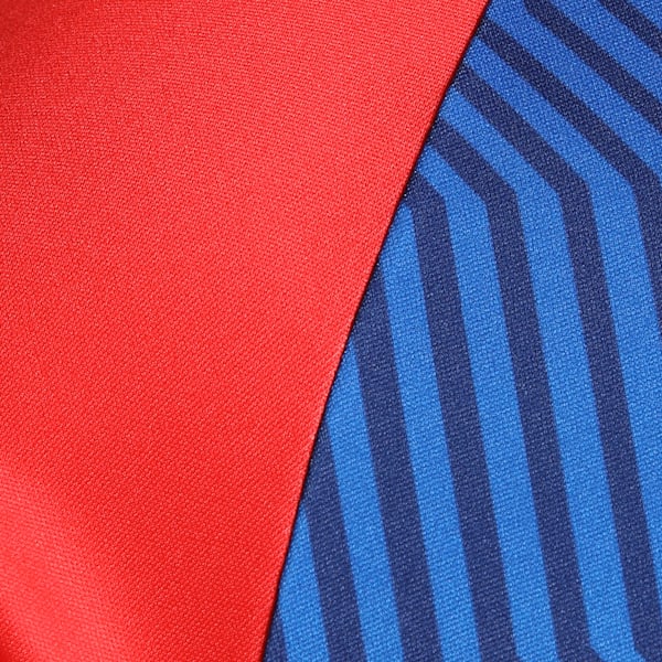 PUMA x DC 2025 Men's Replica Jersey, Strong Blue-For All Time Red, extralarge-IND