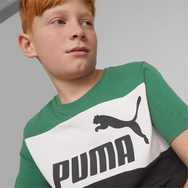 Essentials+ Colourblock Youth Regular Fit T-Shirt, Vine, extralarge-IND