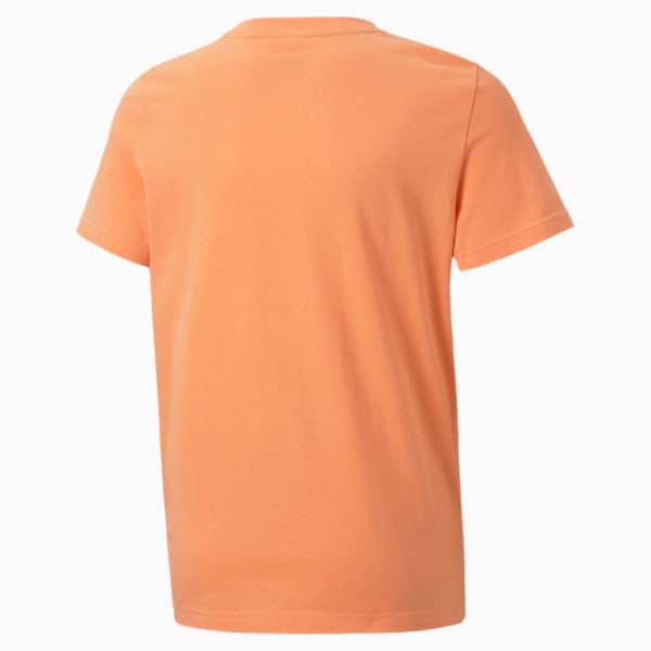 Alpha Graphic Tee JR, Deep Apricot, extralarge