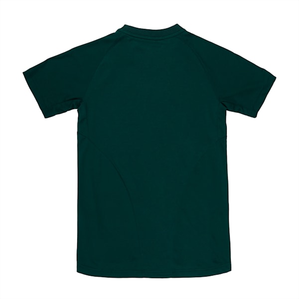 Evostripe Boys' Tee, Ponderosa Pine, extralarge-IND