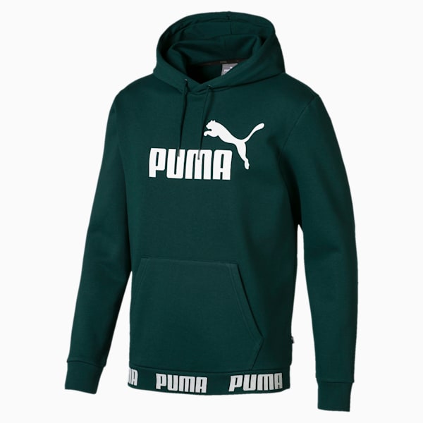 Amplified Men's Hoodie, Ponderosa Pine, extralarge-IND