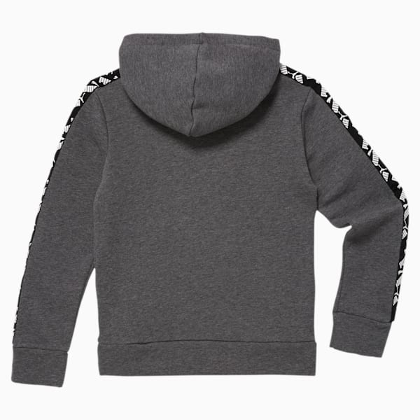 Puma amplified hoodie clearance