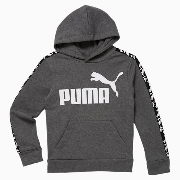 Amplified hoodie puma best sale