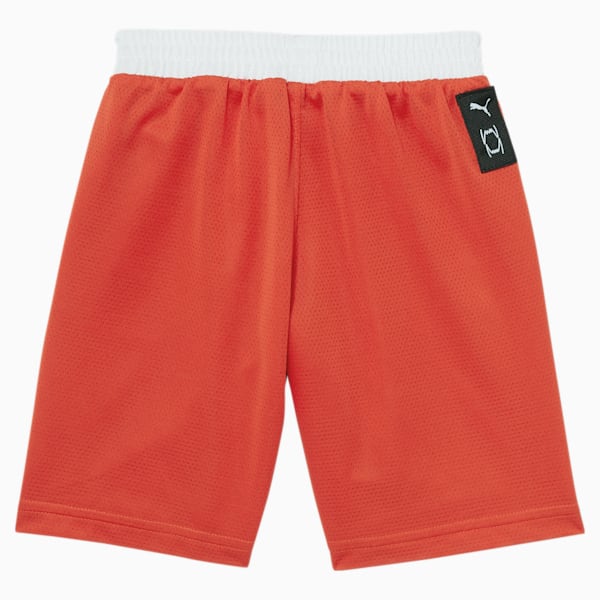 Formstrip Basketball Toddler Shorts