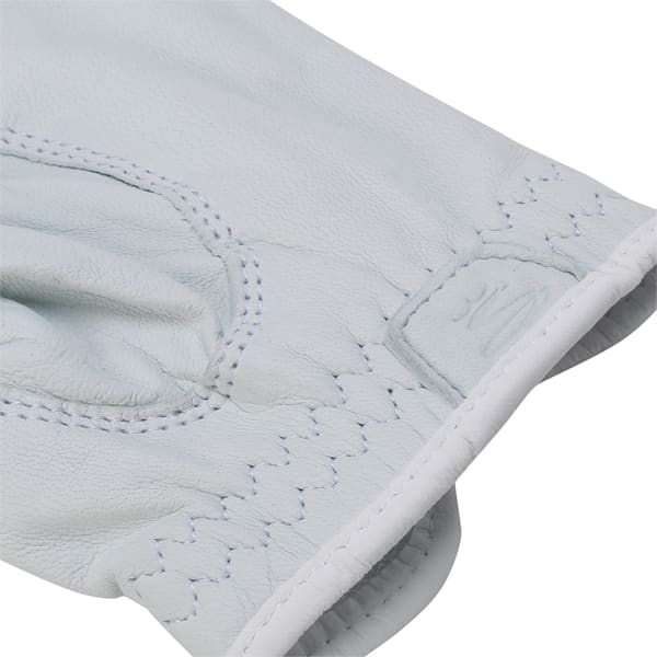Men's Golf Pur Tour LH 21' Gloves, WHITE, extralarge-IND