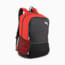 Swatch for PUMA Red-PUMA Black