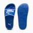 Swatch for Vivid Blue-PUMA White
